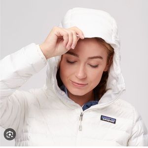 COPY - Patagonia down sweater hoodie